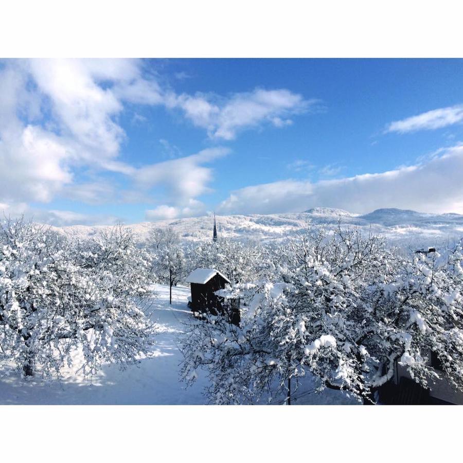 Pensiunea Martuca Surdesti  Buitenkant foto